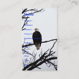 American Bald Eagle Visitenkarte