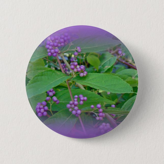 American Beautyberry (Callicarpa americana) Button (Vorderseite)