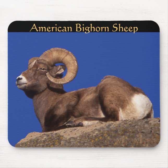 American Bighorn Sheep Mousepad (Vorne)