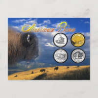 American Bison auf Münzen