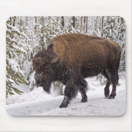 American Bison (Bison bison) Maus Pad Mousepad