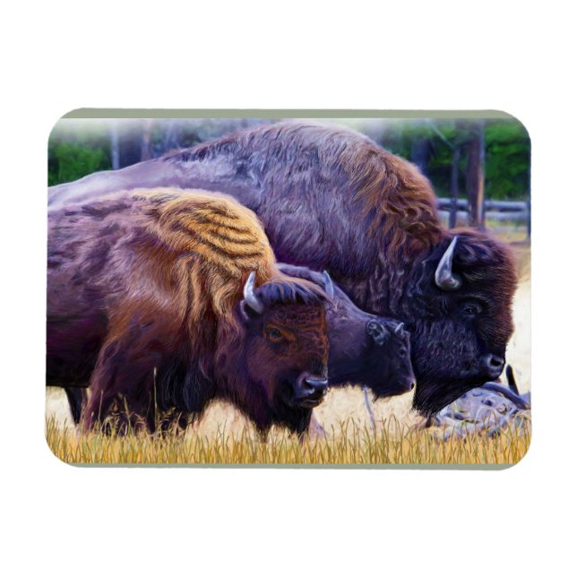 American Bison Family Magnet (Horizontal)