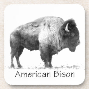 American Bison Getränkeuntersetzer