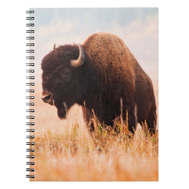 American Bison Herd in Teton 2 Notizblock (Vorderseite)