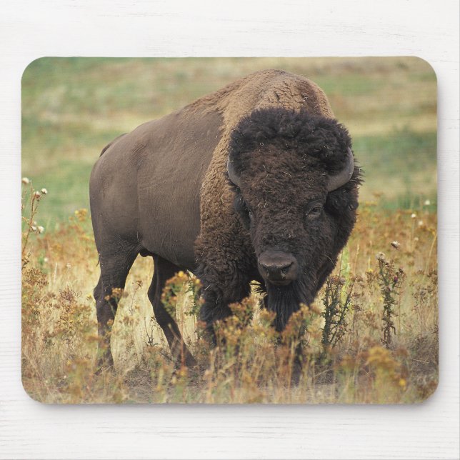 American bison mousepad (Vorne)