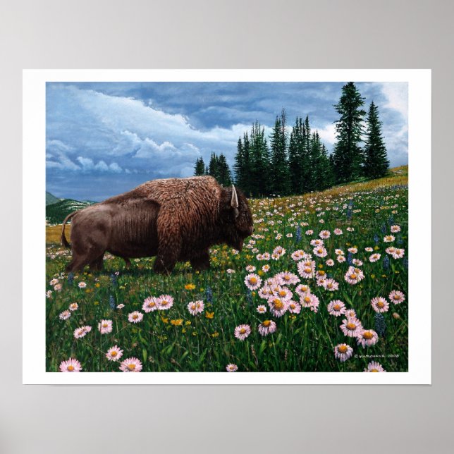 American Bison - "No Time For Blume" Poster (Vorne)