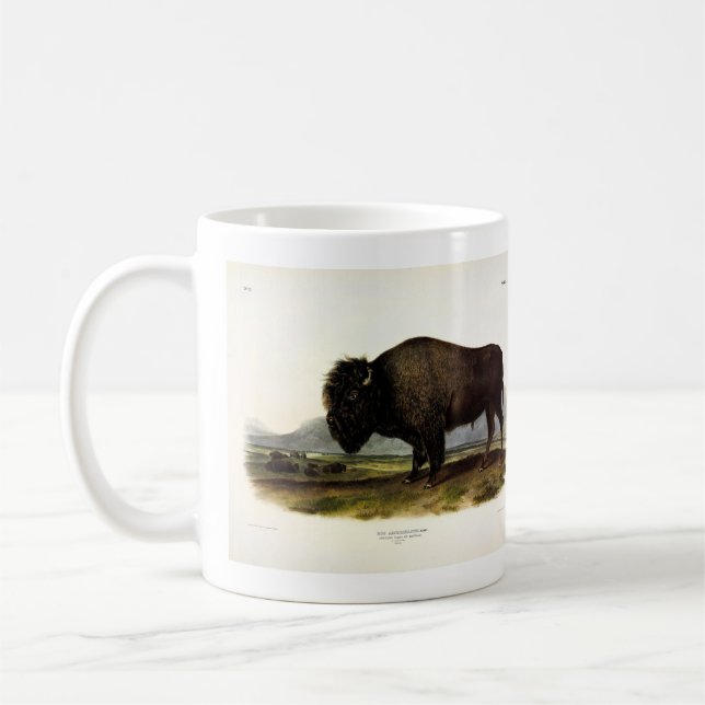 American Bison, oder Buffalo (Bison bison) - Audub Kaffeetasse (Links)