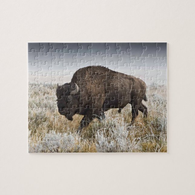 American Bison oder Buffalo Puzzle (Horizontal)