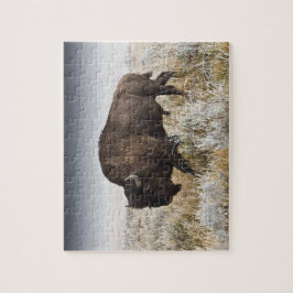 American Bison oder Buffalo Puzzle