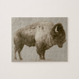 American Bison Puzzle