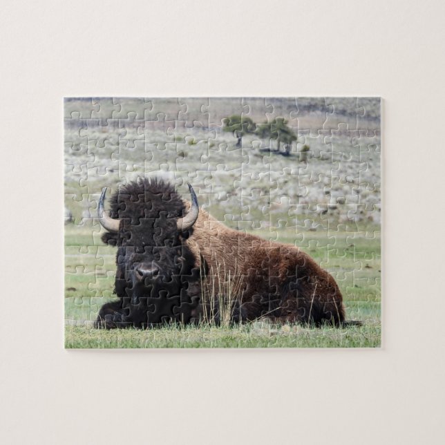 American Bison Puzzle (Horizontal)