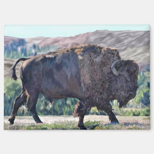 American Bison Roaming in Grassland Magnet