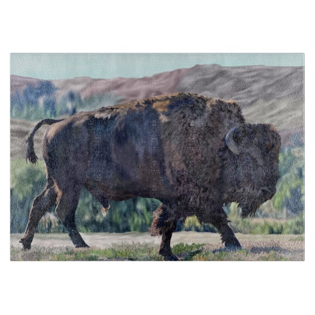 American Bison Roaming in Grassland Schneidebrett (Vorderseite)