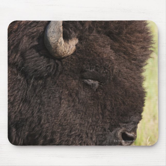 American Bison, South Dakota Mousepad (Vorne)