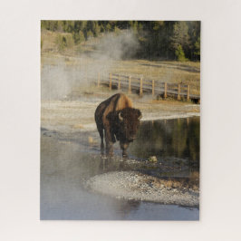 American Bison Yellowstone Wildlife Fotografy Puzzle