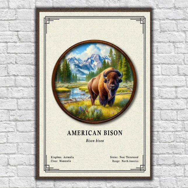 American Bison Zoology Series Poster (Von Creator hochgeladen)