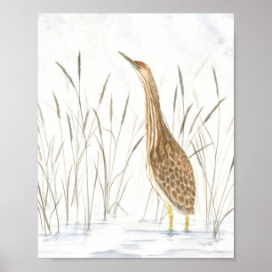 American Bittern Fine Art Print Poster