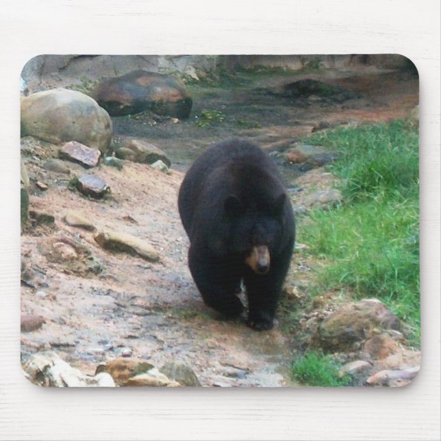 American Black Bear Mousepad (Vorne)