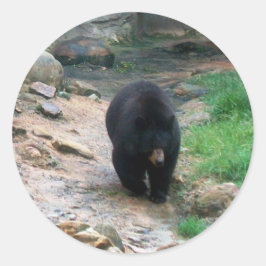 American Black Bear Runder Aufkleber