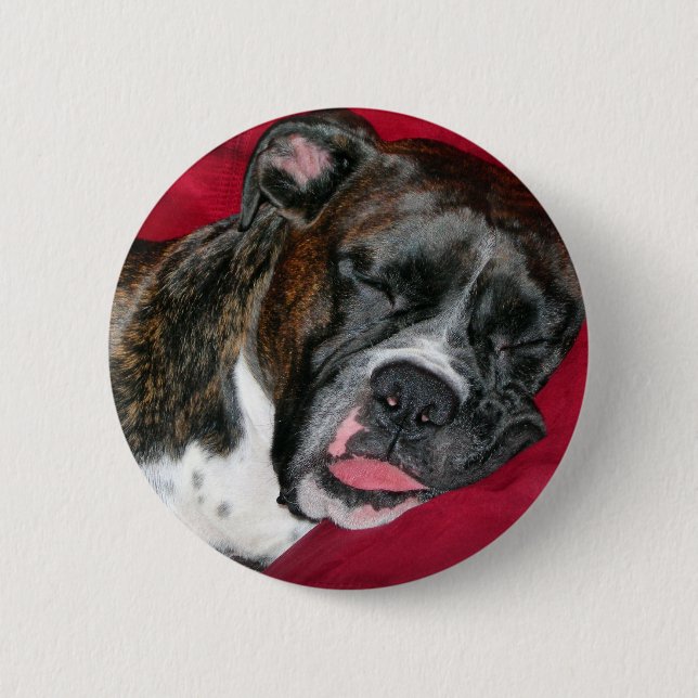 American Boxer Button (Vorderseite)