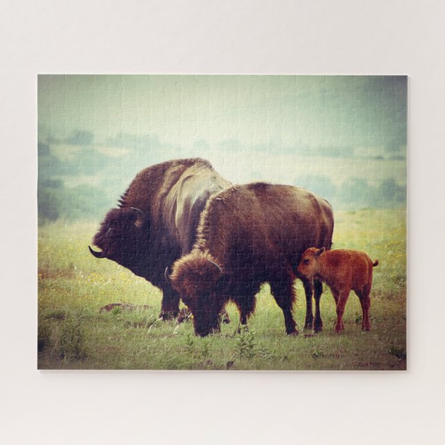 American Buffalo (Bison) Family Puzzle (Horizontal)