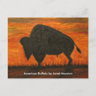 American Buffalo (Bison) Postkarte