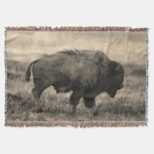 American Buffalo - Plains Bison Decke