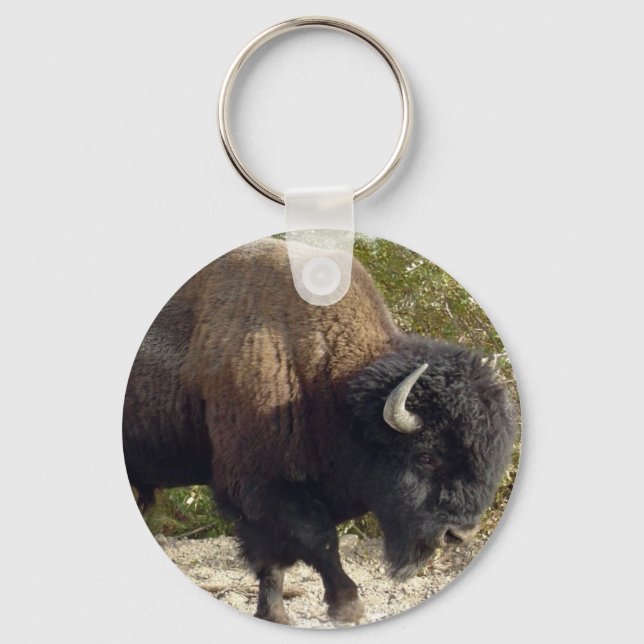 American Buffalo Schlüsselanhänger (Vorderseite)