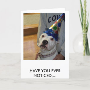American Bulldog Birthday Karte