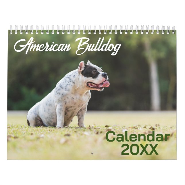 American Bulldog Dog Kalender 2026 (Titelbild)