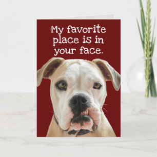 American Bulldog No Bull Father's Day Card Karte