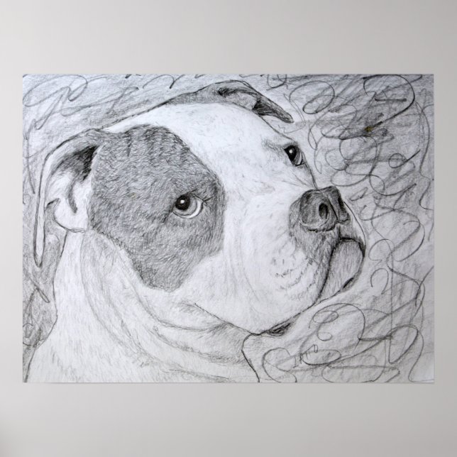 American Bulldog Pet Portrait Art Pencil Zeichnend Poster (Vorne)