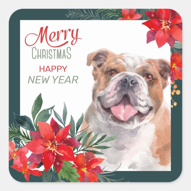 American Bulldog Poinsettia - Weihnachten Quadratischer Aufkleber (Vorderseite)