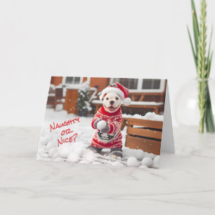 American Bulldog Pup Making Snowballs Card Feiertagskarte