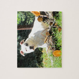 American Bulldog Puzzle