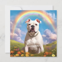 American Bulldog Rainbow Bridge Individuelle Name