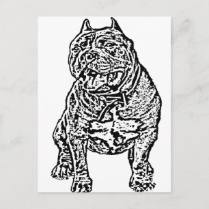 American Bully Dog Postkarte