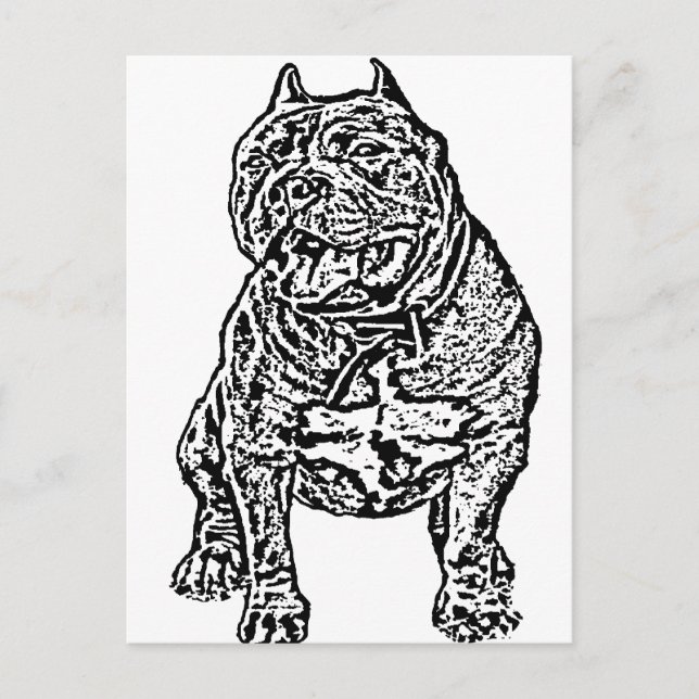 American Bully Dog Postkarte (Vorderseite)