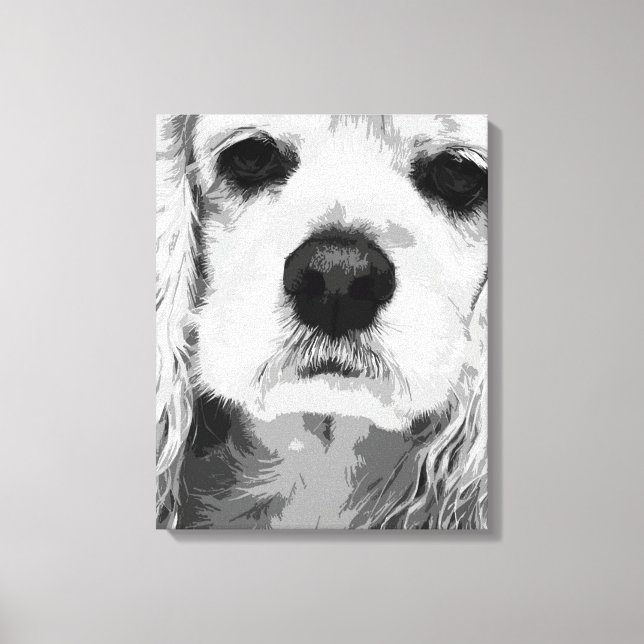 American Cocker Spaniel Leinwanddruck (Vorderseite)
