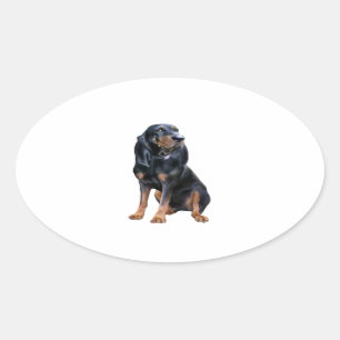 American Coon Hound - Schwarz und Braun Ovaler Aufkleber