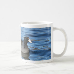 American Coot Tasse