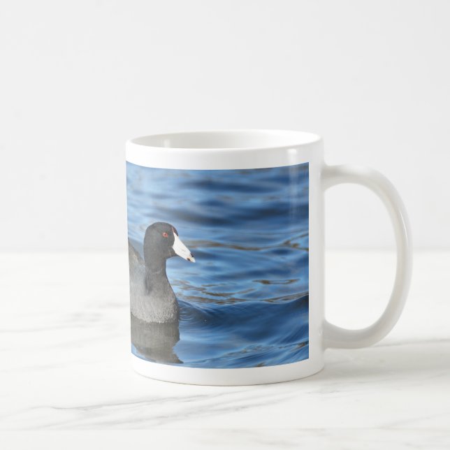 American Coot Tasse (Rechts)