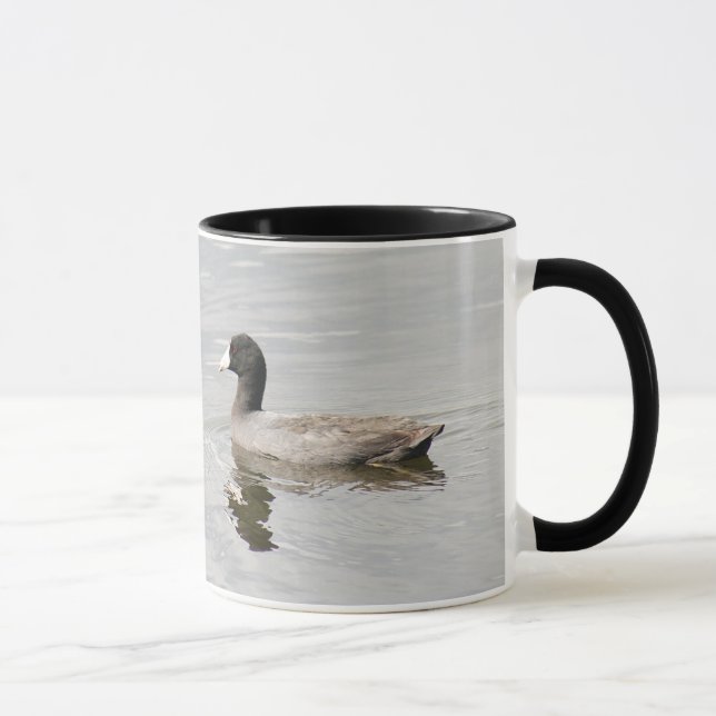 American Coot Tasse (Rechts)