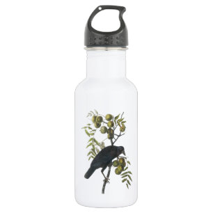 American Crow von Audubon Trinkflasche