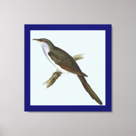 American Cuckoo Bird Canvas Print Leinwanddruck