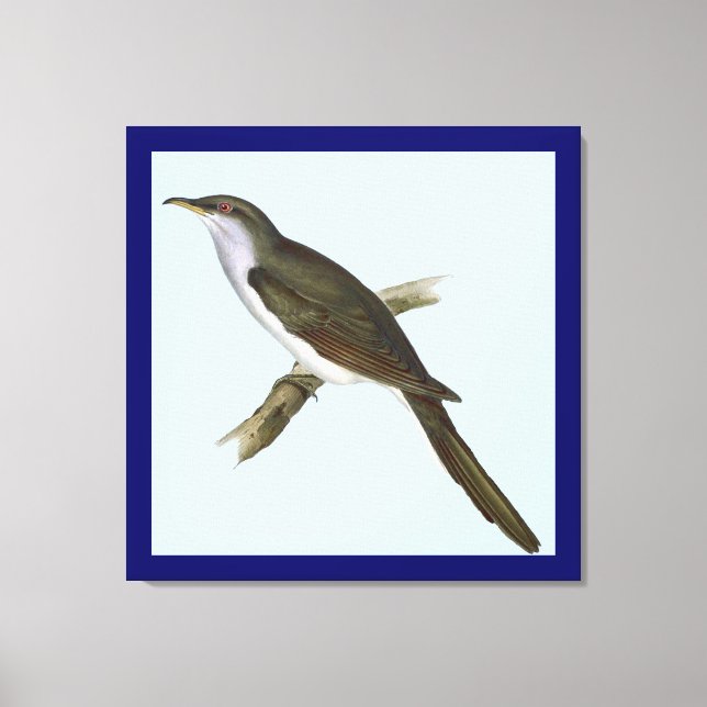 American Cuckoo Bird Canvas Print Leinwanddruck (Vorderseite)