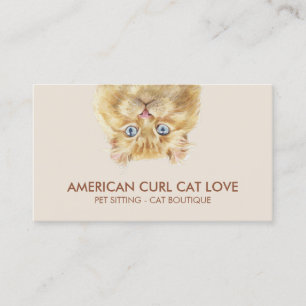 American Curl Cat Visitenkarte
