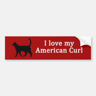 American Curl-Liebe Autoaufkleber