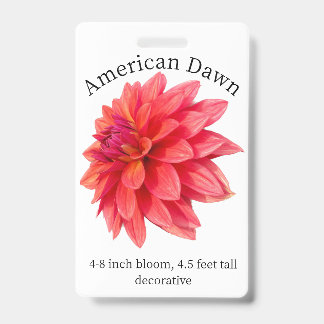 American Dawn Dahlia ID Abzeichen Ausweis