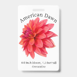 American Dawn Dahlia ID Abzeichen Ausweis